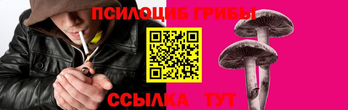 Псилоцибиновые грибы Psilocybine cubensis Медногорск